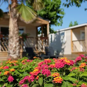  Camping Camping El Pinar España